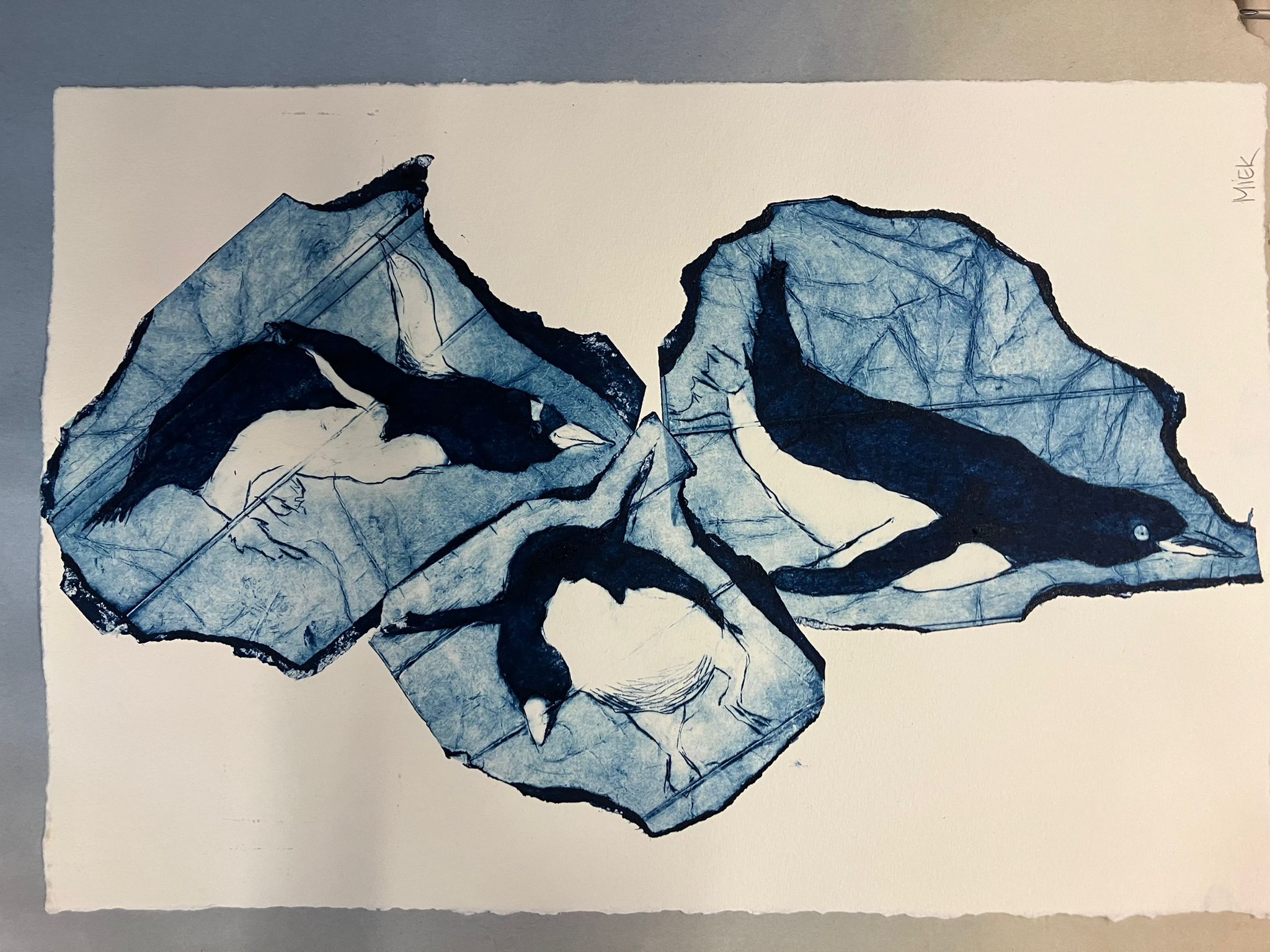 Grafiek